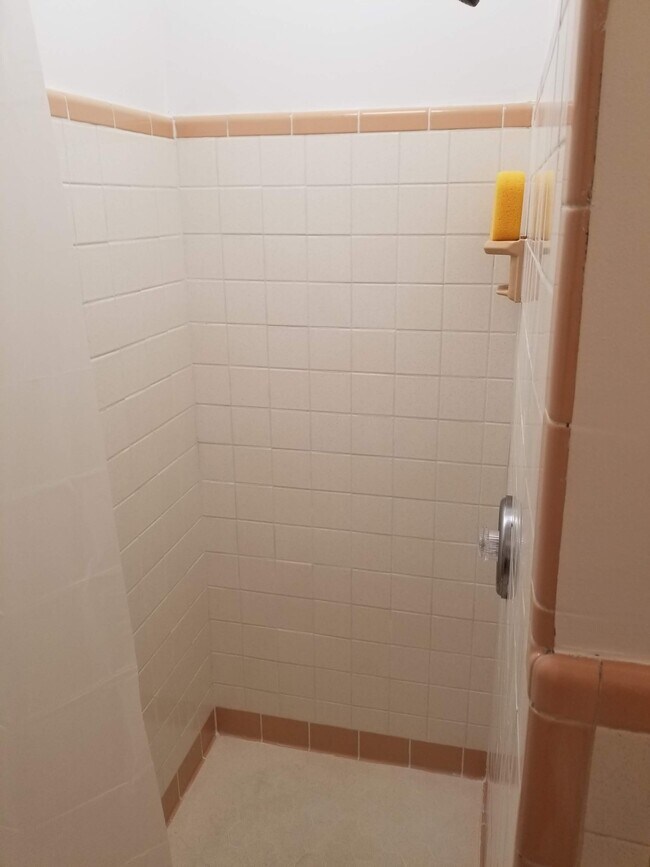 Shower - 308 E Yale St