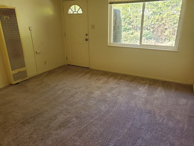 New carpet living room - 1210 Ripley St