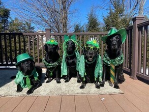 Building Photo - 3687 Clay Pond Rd