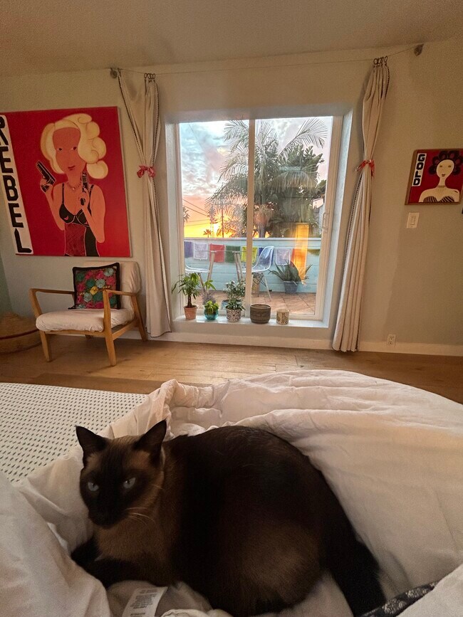 Foto del edificio - 1624 N Coast Highway 101 Hwy