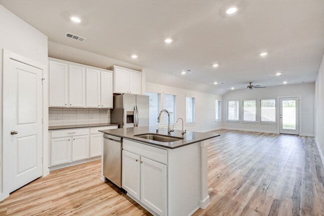 Building Photo - Brand new single-story home with all appliances, no back neighbors and sprinkler system