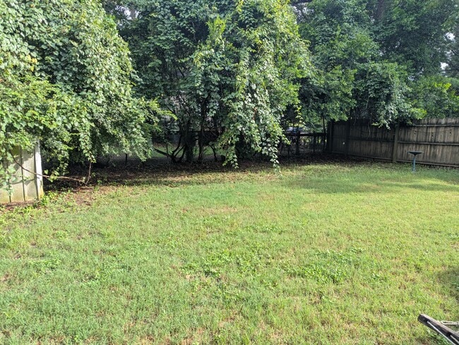 Spacious, fully fenced backyard bordered by mature trees. (back yard is not shared) - 1527 Brookbank Ave