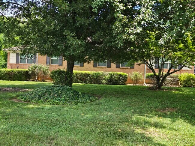 Foto del edificio - 11617 S Williamsburg Dr