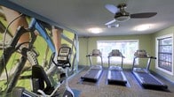 This fitness center is a purpose-built exercise space designed to support an active lifestyle. The room is furnished with multiple treadmills and an upright stationary bike, providing a solid selection of cardiovascular equipment for residents or users. A striking large-scale photographic mural of a cyclist adorns one wall, adding a dynamic and energizing visual element that sets an athletic tone throughout the space. The green-painted walls complement the lively atmosphere, while patterned carpet tiles cover the flooring, offering both comfort and durability underfoot. A ceiling fan with an integrated light fixture is centrally mounted, helping to maintain airflow and comfort during workouts. A wide window along one wall allows ample natural light to fill the room and offers views of a lush outdoor area, creating an open and refreshing ambiance. The single-floor layout keeps the space straightforward and accessible, making it easy to navigate between equipment. Overall, the fitness center balances functionality with an inviting aesthetic, making it a practical and motivating environment for daily exercise routines.