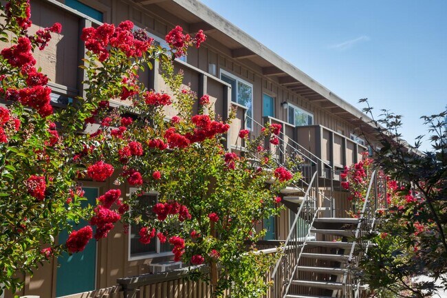 Segundo piso - Tanglewood Apartments