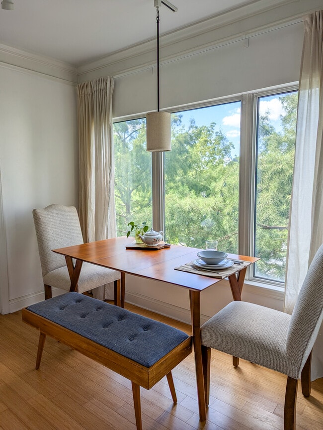 foliage provides additional privacy, while letting light in - 275 13th St NE