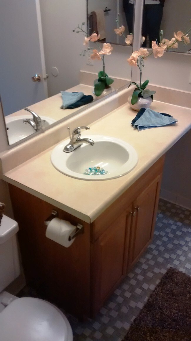 Trafalgar Square Apartments Rentals Westland, MI