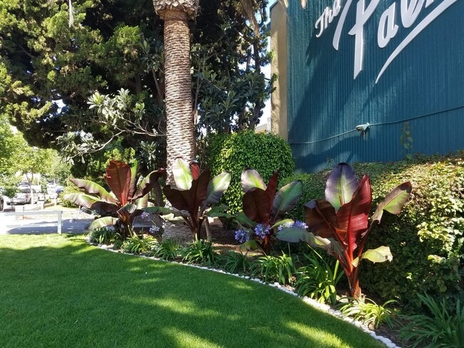 Interior Photo - Palms Garden Apartments - the Tropical Gem of the South Torrance