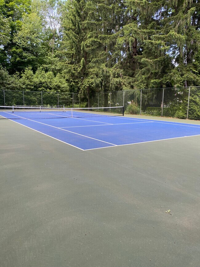 Tennis court - 12 Castle Rock
