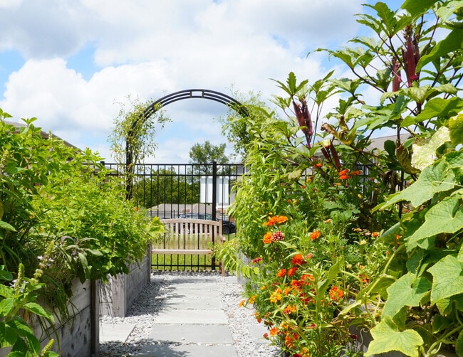 Building Photo - Provenza at Park Place