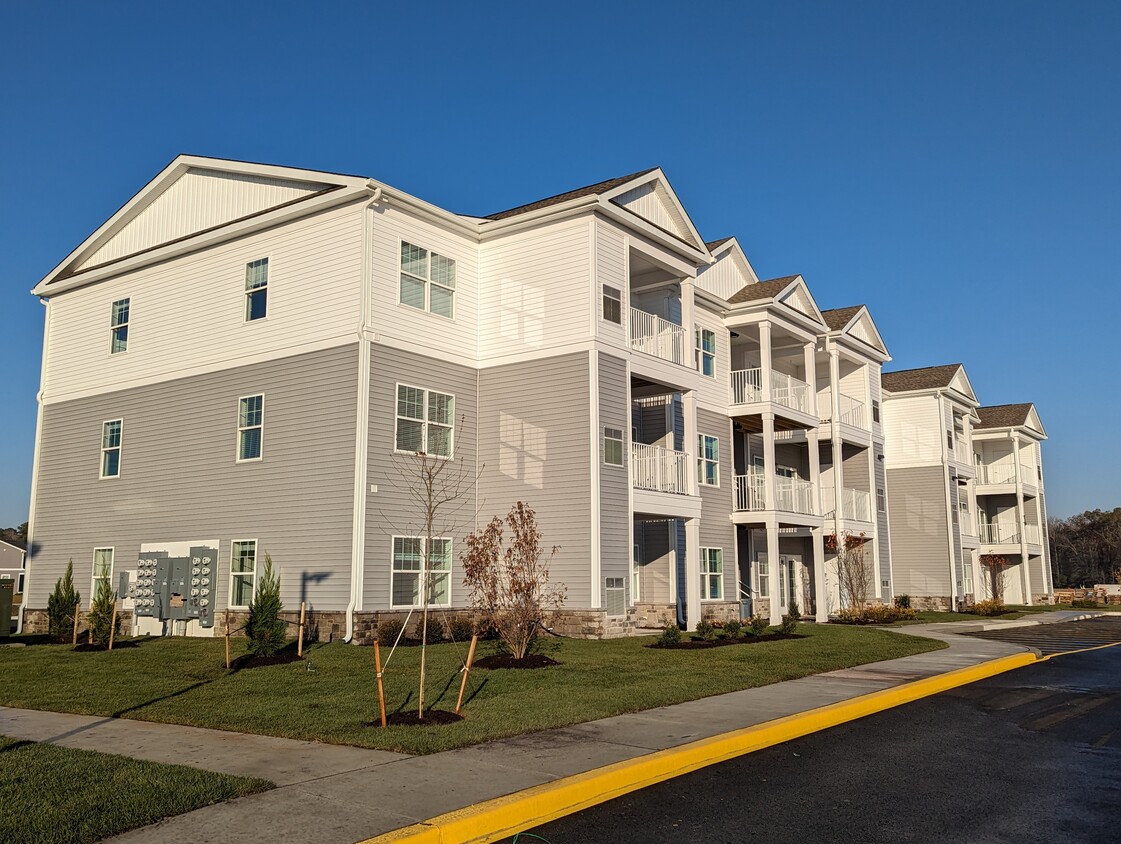 Primary Photo - College Park Apartments and Rental Homes