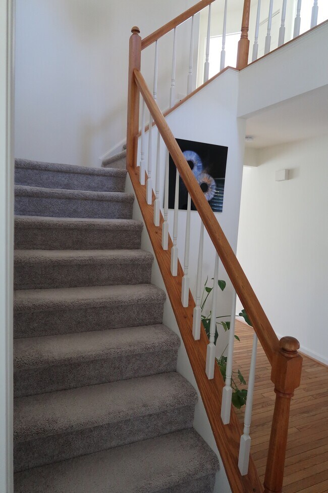 Building Photo - 4501 Deane Ct