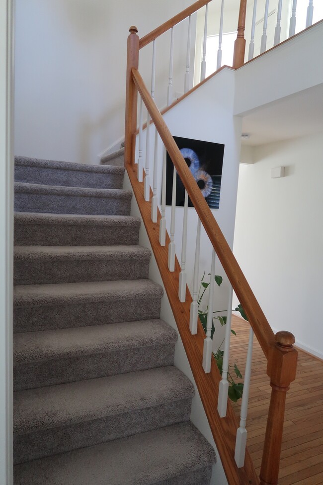 Foto del edificio - 4501 Deane Ct