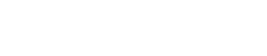 Capital Investment Company
