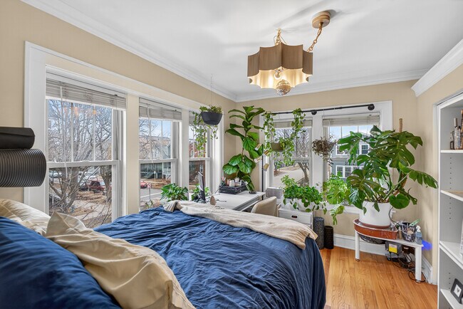 Foto del edificio - 4234 N Campbell Ave