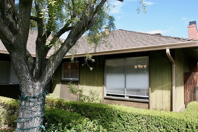 Building Photo - 943 Miramonte Ave