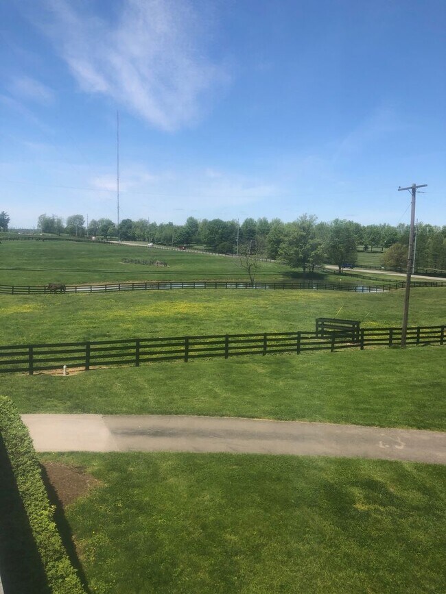 Foto del edificio - Kentucky mansion overlooking horse farm with stunning views    260323