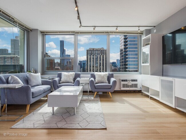 Foto del edificio - 1255 N Sandburg Terrace