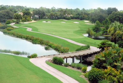Parte trasera de la propiedad - 2895 Cypress Trace Cir