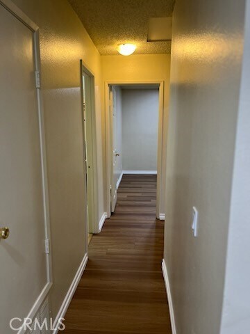 Foto del edificio - 318 Wilma Cir