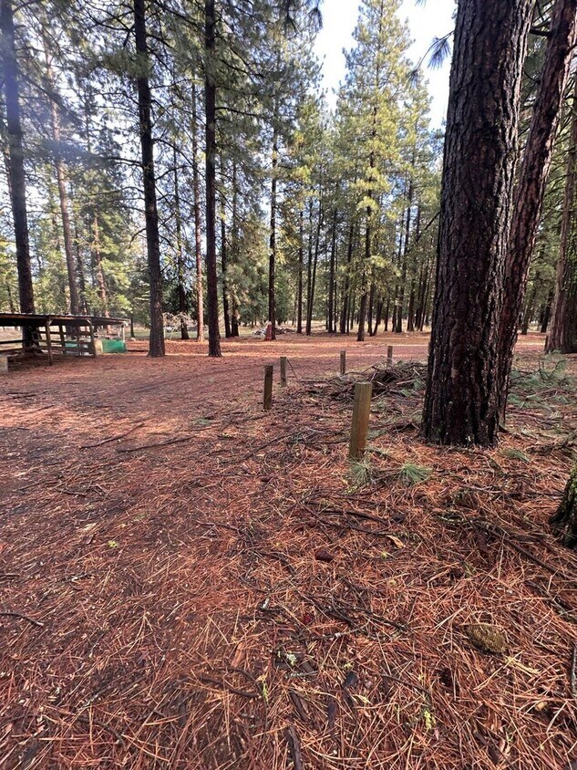 Foto del edificio - 18515 Freight Rd Ln