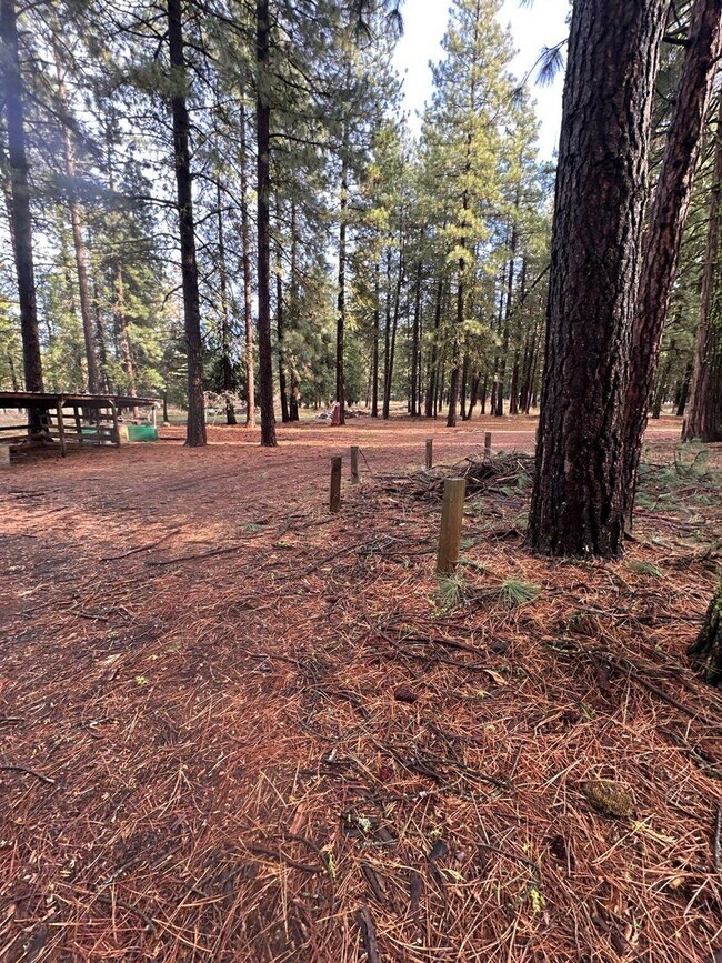 Foto del edificio - 18515 Freight Rd Ln