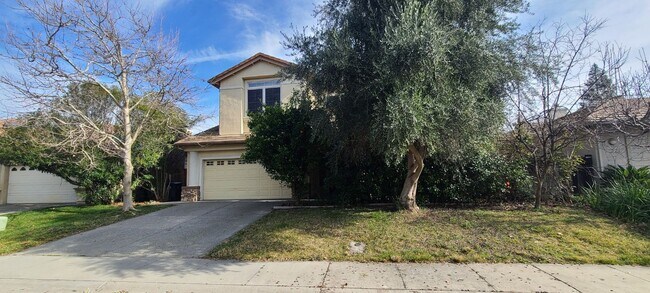 Building Photo - Beautiful 6 bed / 3 bath Energy Efficient ...