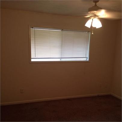 Building Photo - 1913 Pine Tree Dr