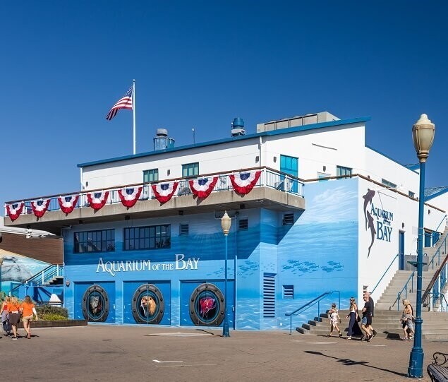 Aquarium of the Bay is home to more than 20,000 marine animals