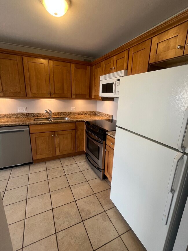Kitchen - new dishwasher! - 1540 N La Salle Dr