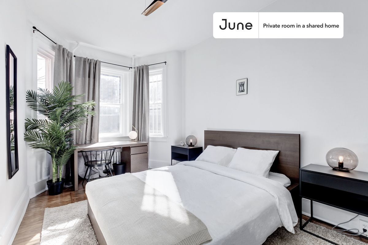 Private bedroom in 4 bed/1.5 bath Home - Private bedroom in 4 bed/1.5 bath Home