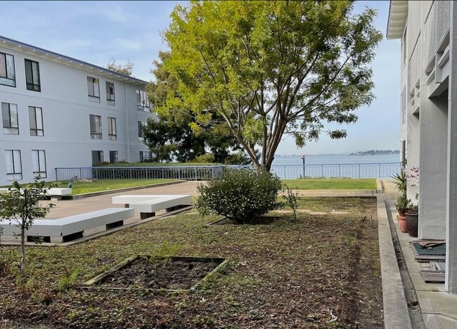 LIVE AT THE RESORT - Upgraded 1 Bedroom Co... - LIVE AT THE RESORT - Upgraded 1 Bedroom Co... Apartment