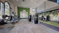 This fitness center is a thoughtfully designed workout facility that combines architectural elegance with comprehensive exercise amenities. The space is defined by soaring vaulted ceilings that create an open, airy atmosphere, complemented by recessed lighting and ceiling fans that ensure comfort during workouts. Large arched and grid-pane windows line the walls, flooding the interior with natural light and offering picturesque views of the surrounding palm tree-lined landscape.

The facility is divided into distinct workout zones. The cardio area features a row of treadmills, ellipticals, and other aerobic machines positioned along the windowed walls, each paired with wall-mounted flat-screen TVs for entertainment. The strength training section is outfitted with professional-grade Cybex machines and additional cable systems, arranged on a dedicated rubber flooring area accented by a nature-inspired mural. A free weights and functional training zone includes an adjustable bench, medicine balls, resistance bands, and stability equipment organized on a storage rack.

The interior design incorporates bold green accent walls that echo the lush greenery visible through the windows, grounding the space in a cohesive nature-inspired aesthetic. Flooring transitions between patterned carpet tiles and hardwood near the glass double-door entrance, which opens directly to an outdoor palm-lined walkway. An elevated mezzanine railing is visible along one wall, adding vertical dimension to the overall design.