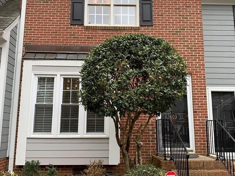 Foto principal - 403 Gadland Ct