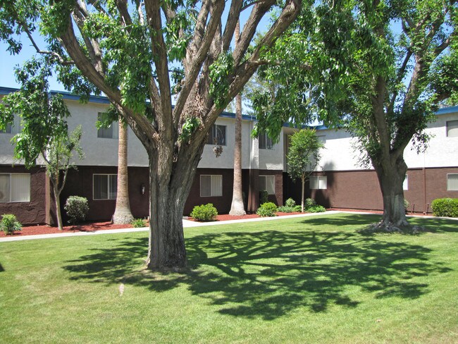 Parte frontal - Serramonte Park