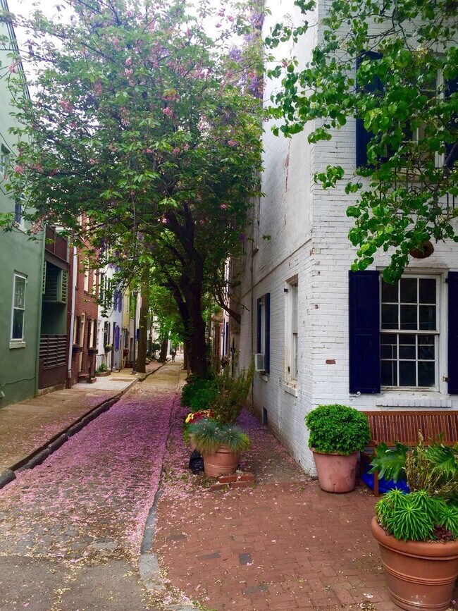 Foto del edificio - Spectacular 2-Bedroom End of Row Townhome ...