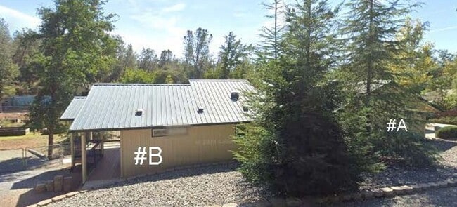 Building Photo - One Bedroom "Cottage" in the Woods (Partia...