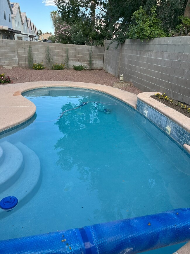 Pool - 7233 Grand Palace Ave