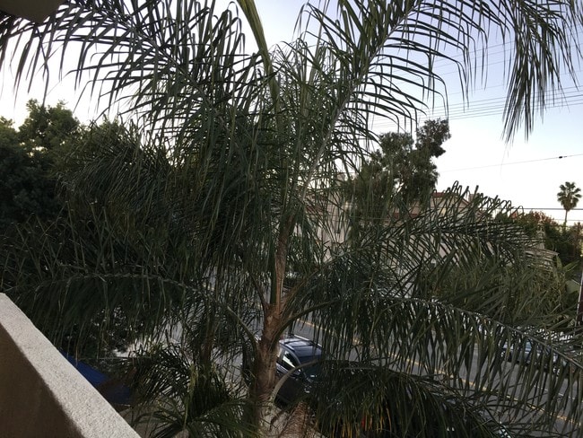 Vista desde el balcón - 14718 W Magnolia Blvd