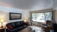 This single-floor space features a cozy, well-lit living room as its central gathering area. The room is finished with wall-to-wall carpeting in a neutral tone, contributing to a warm and comfortable atmosphere. A textured popcorn ceiling adds a classic architectural detail overhead.

Natural light fills the space through a large picture window, which looks out onto a lush, tree-lined exterior, bringing a pleasant connection to the outdoors. A built-in baseboard heating unit and a wall-mounted air conditioning unit are positioned beneath the window, ensuring year-round climate comfort.

The living room is furnished with a dark leather sofa accented by red throw pillows, complemented by a wooden coffee table and an upholstered accent chair. A floor lamp provides warm ambient lighting, while a framed landscape artwork adorns the wall, adding visual interest. A cat tree positioned near the window reflects a pet-friendly environment.

The walls are painted in a light, neutral tone, enhancing the sense of openness and making the space feel inviting. Overall, the living area offers a functional and comfortable layout well-suited for everyday living.
