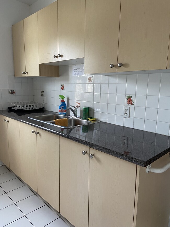 kitchen - 170 Aldwych Av