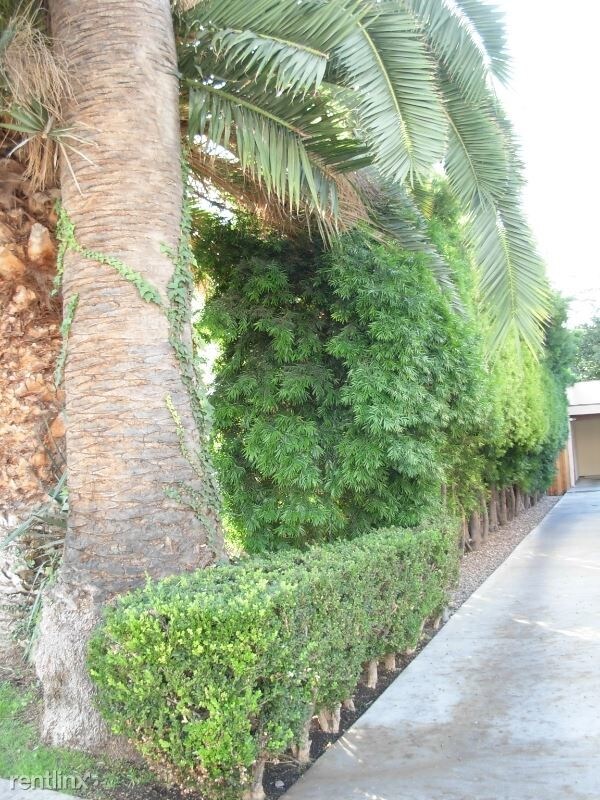 Foto del edificio - 1310 N Spurgeon St