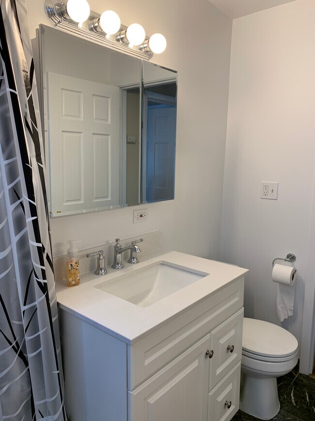 Vanity bathroom - 30 W Conti Pkwy