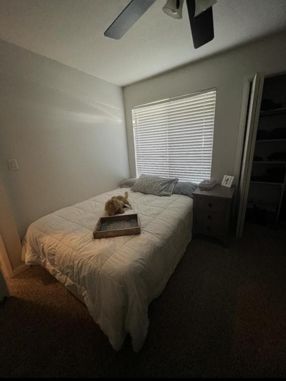 Building Photo - 1953 Sunset Ct