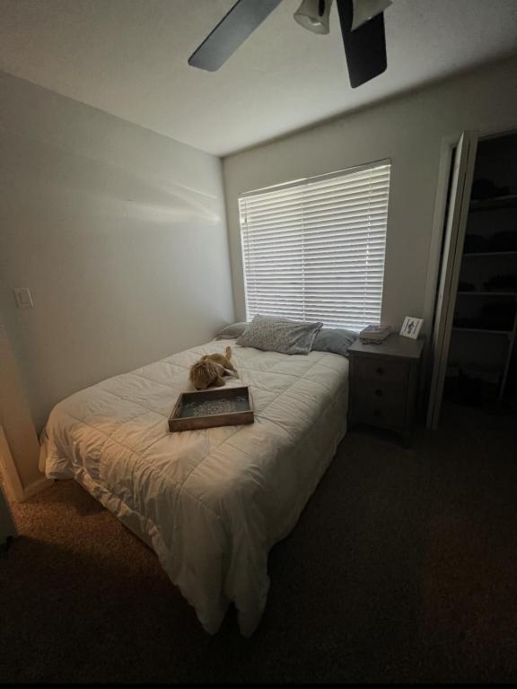 Foto del edificio - 1953 Sunset Ct