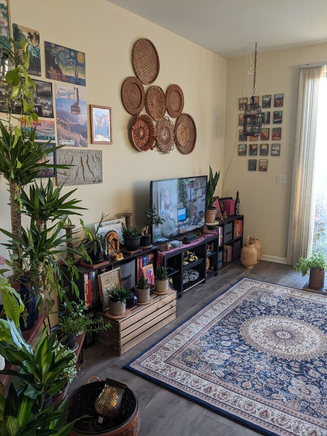 Living room - 4493 W Quill Ln