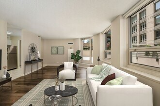 2BR, 2BA with Terrace Living Room - 750 N. Rush