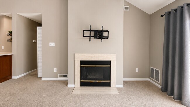 GAS FIREPLACE - 1010 Squirrel Rd