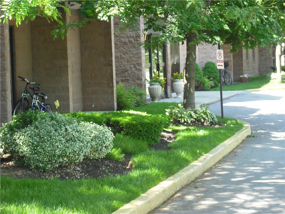 Primary Photo - 250 Hincks St