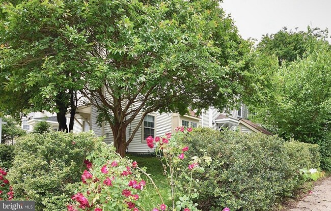 Foto del edificio - 14370 Gringsby Ct